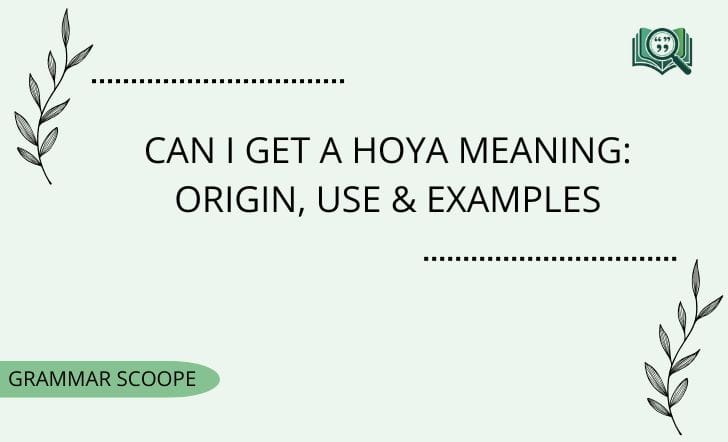 Can I Get a Hoya Meaning Origin, Use & Examples