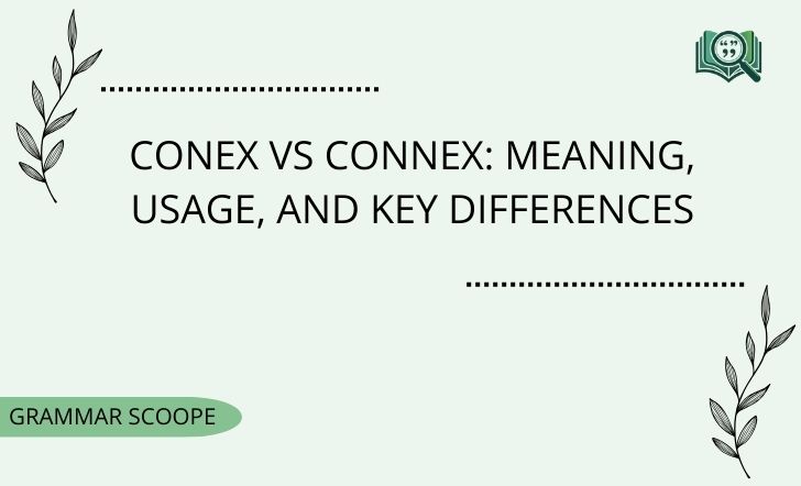 Conex vs Connex: Meaning, Usage, And Key Differences