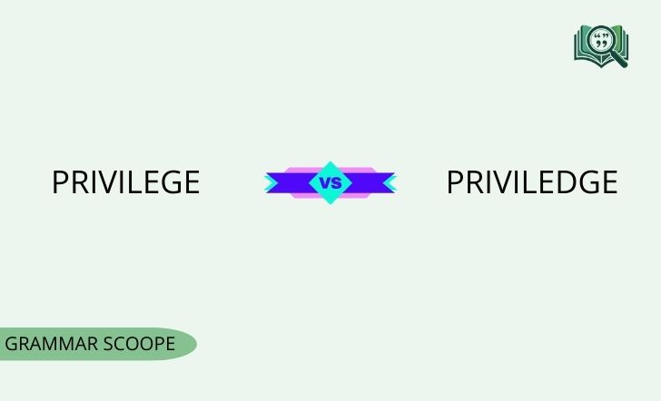Privilege vs Priviledge