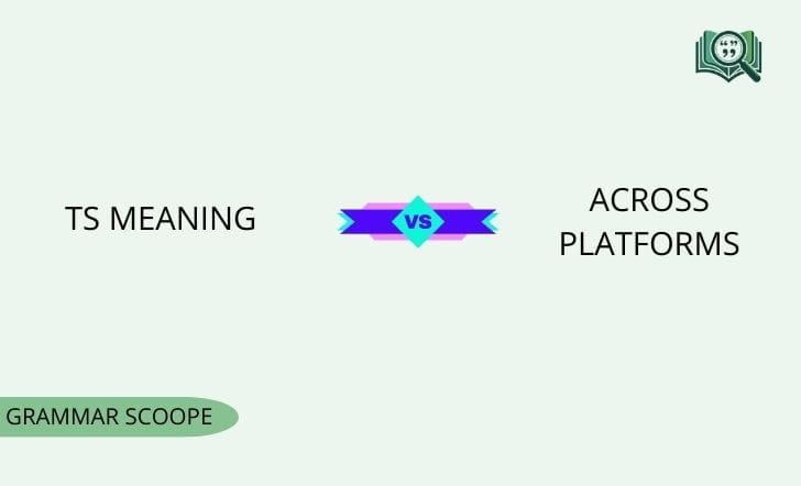 What Does TS Mean in Text